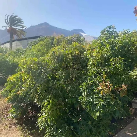 Casita Lily 펜션 *